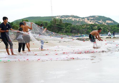 Tour Trải Nghiệm Miền Biển